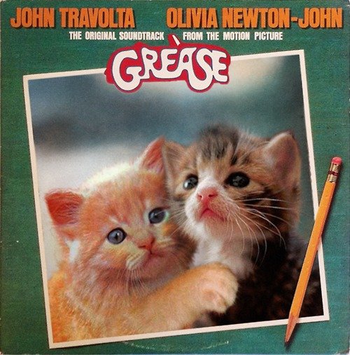 cat_grease