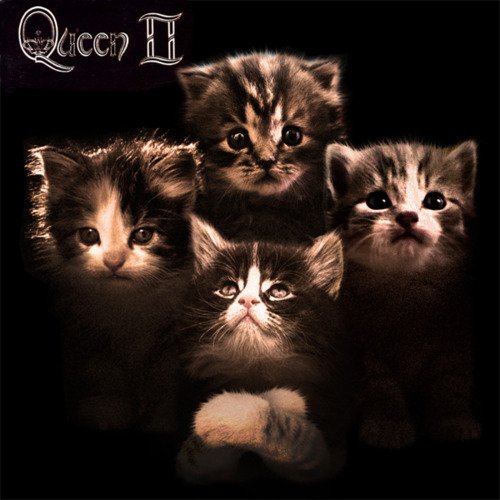 cat_queen