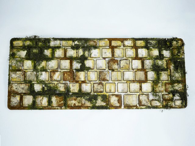 100_mouse3