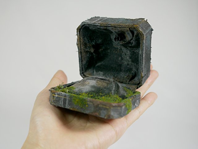 100_ringcase2