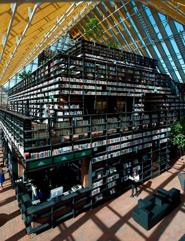 bookmountain10