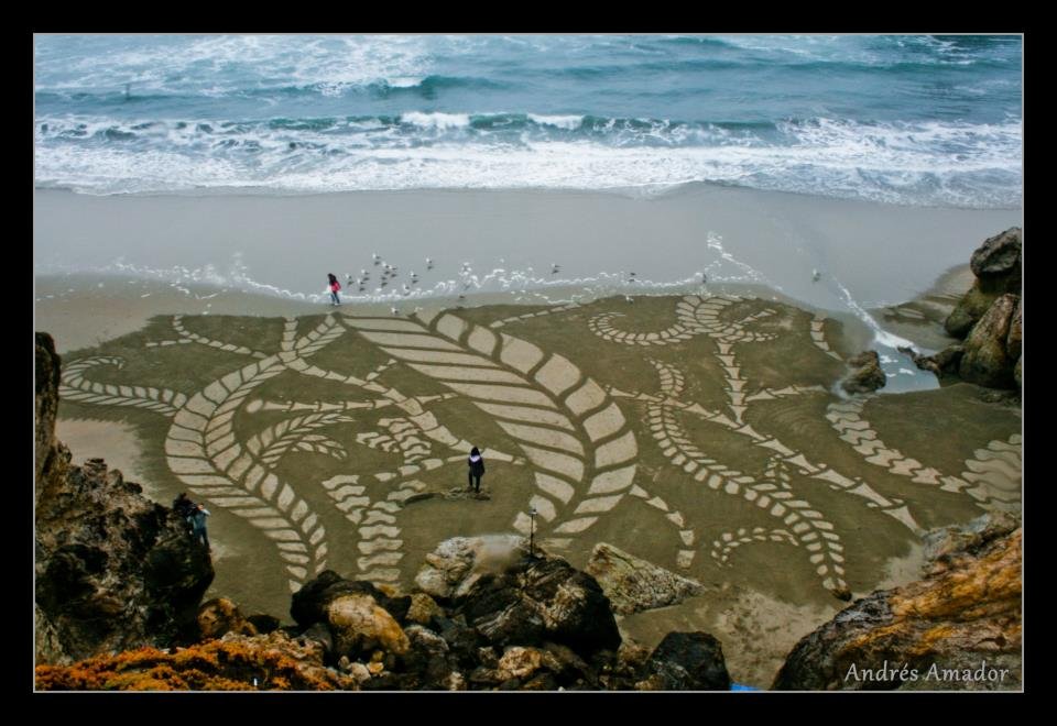 Andres Amador arte praia (5)