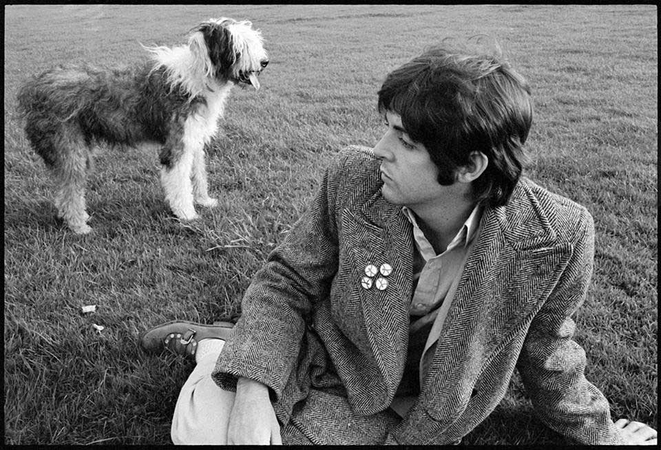 Linda-McCartney-Retrospective,-1965-1997---Martha,-My-Dear,-London,-1968