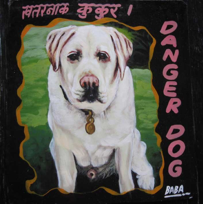 placas cuidado com o cão nepal himalaia subcultura (12)